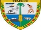 temuco